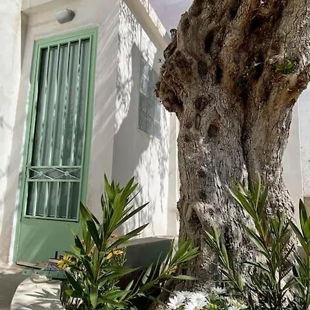 Anastasia, Downtown * Amaliada