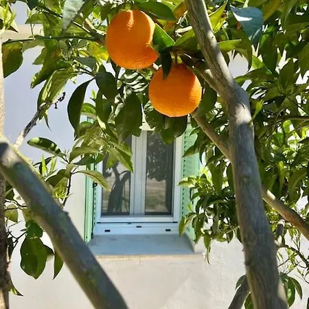 Anastasia, Downtown Amaliada