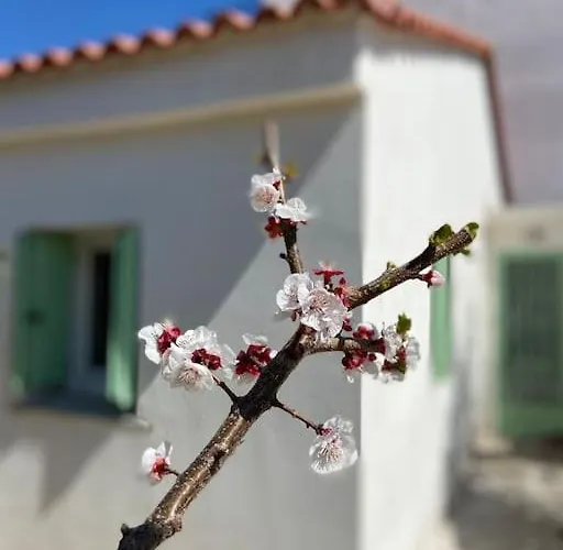 別荘 Anastasia, Downtown