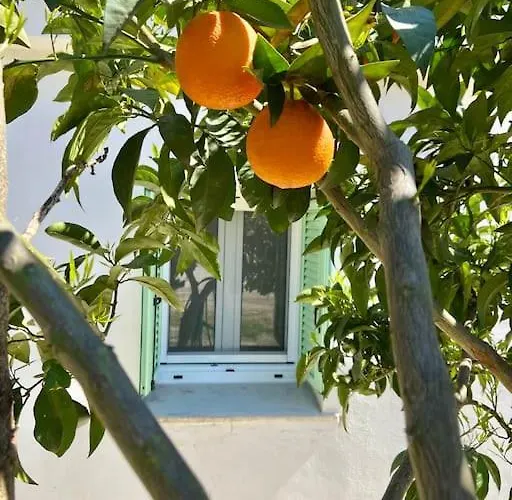 Anastasia, Downtown Amaliada